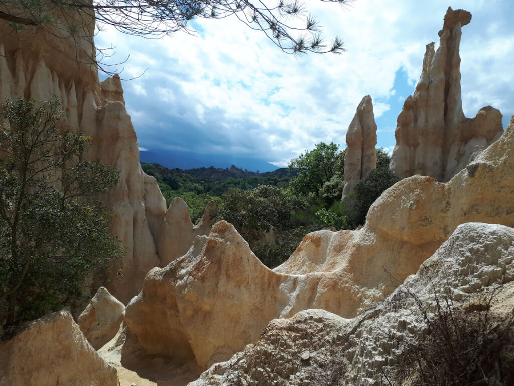 Ille-sur-Têt, printemps 2022 (Janet)