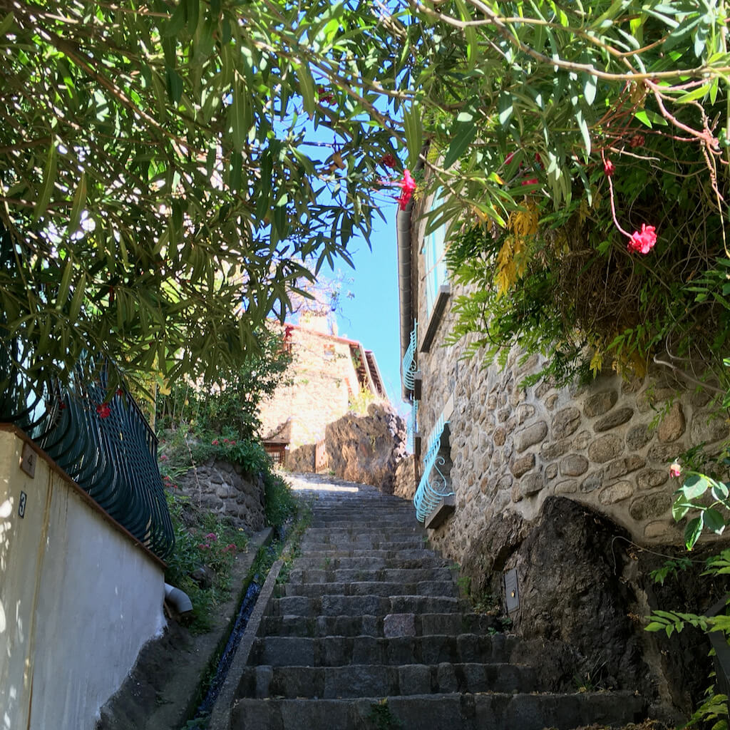 Rue de Vernet, automne 2021 (Yifei)