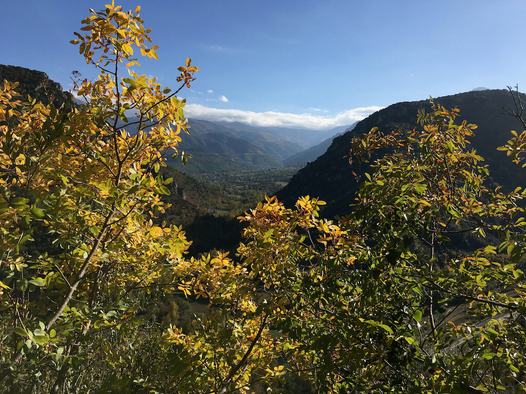 Vallée de Fuilla, automne 2021 (Yifei)