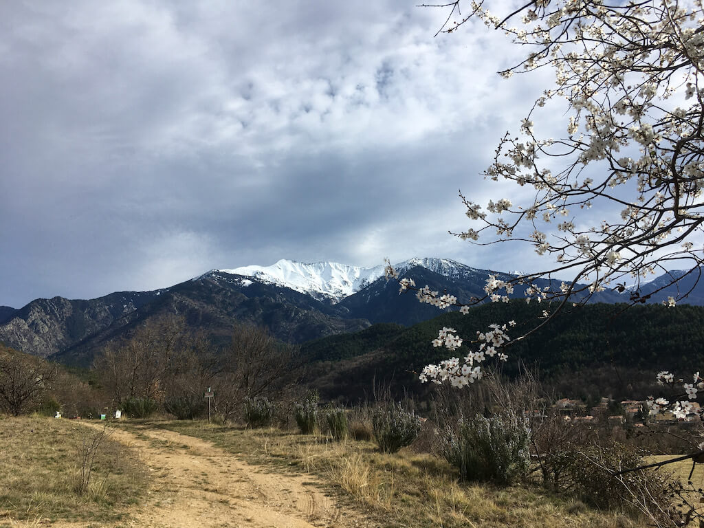 Alentours de Corneilla-de-Conflent, printemps 2022 (Sylviane)