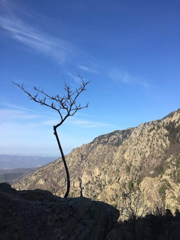 Vers le Pas du Cheval mort, hiver 2021 (Thierry)