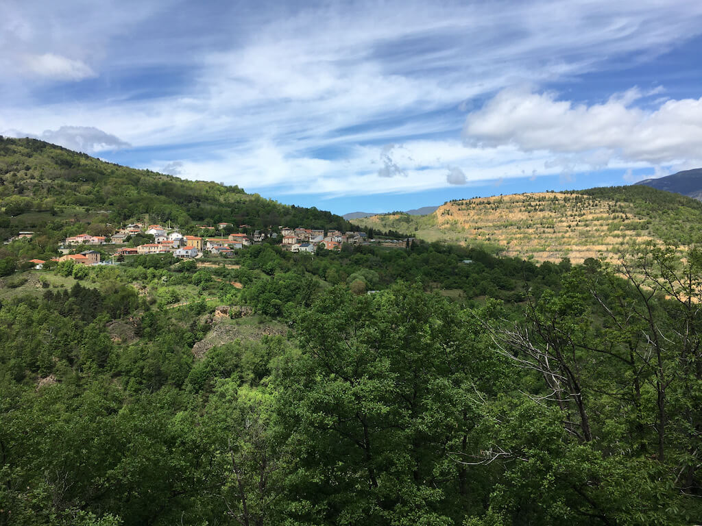 Escaro, printemps 2021 (Aristide)