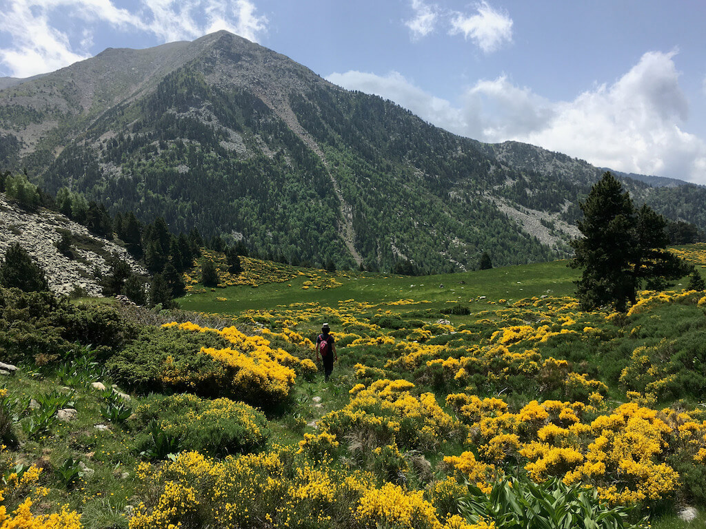 Vallon de la Llipodera, été 2021 (Jiaxin)