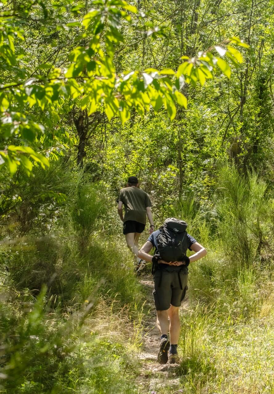 Randonneurs dans un bois, printemps 2024 (Fiona)