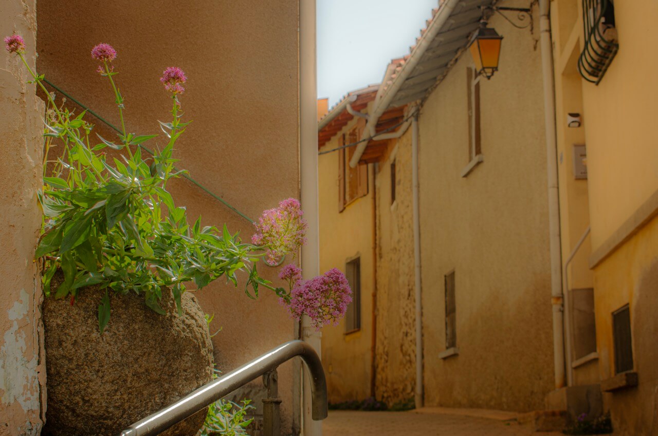 Dans les rues de Vernet, printemps 2024 (Fiona)