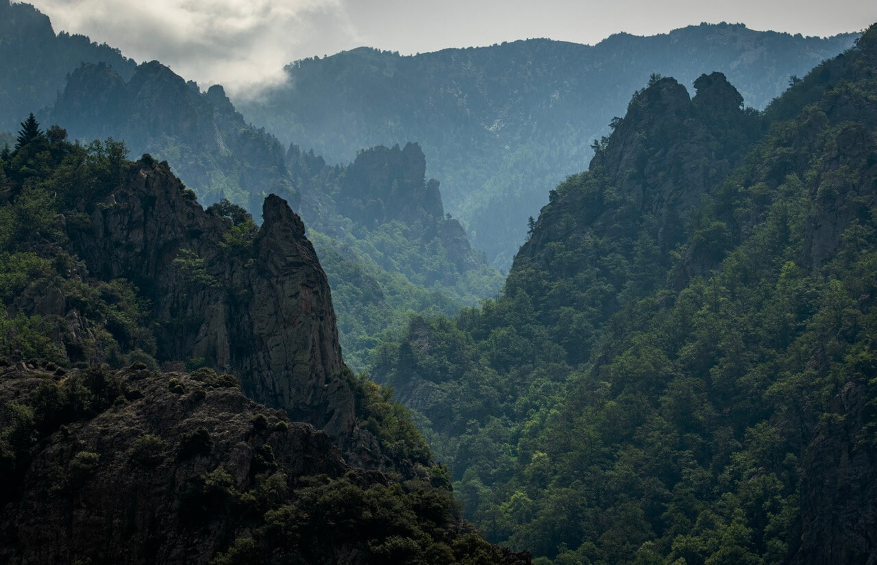 Vallée de Casteil, printemps 2024 (Fiona)